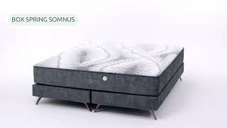 BOX SPRING Somnus