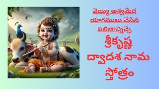 శ్రీకృష్ణ ద్వాదశ నామ స్తోత్రం  #devotinal #krishna