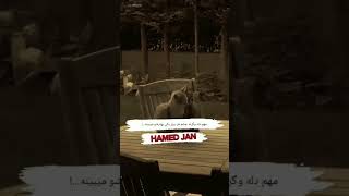 مهم دله وگرنه چشم هر روز یکی #video #foryou #viral #love #brokenheart #youtubeshorts