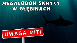 Czy znamy zaledwie 3% oceanów – UWAGA MIT #4