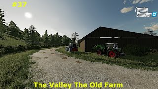 Finishing Off Planting The Sunflowers // Farming Simulator 22 // The Valley The Old Farm - Ep. 37