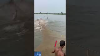 fish fight and man