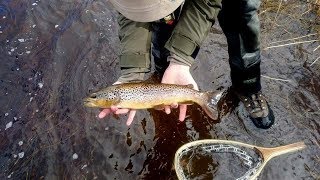 Aberfeldy, River Tay Trout Fishing 2016.