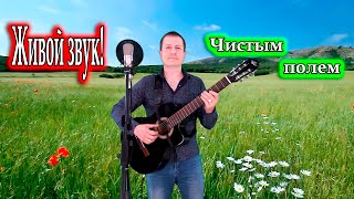 исп. Владимир Need Soul Кузьмин - Чистым полем (cover version)