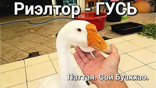 Гусь - Риэлтор | Паттая |  Таиланд.