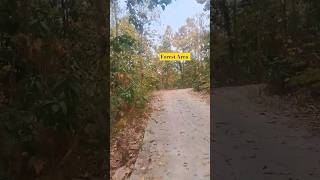 How bsnl tower #forestarea #5gnetworkindia #bsnl4glaunchinindia