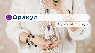 «Ора́кулум» — пророк