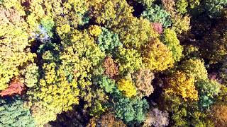 Fall in the Tenessee River Gorge