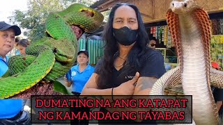 DUMATING NA ANG KATAPAT NG KAMANDAG NG TAYABAS #COBRAKING