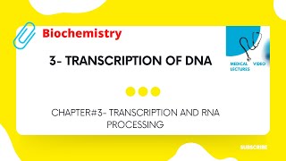 Transcription of DNA | CHAPTER#3- TRANSCRIPTION AND RNA PROCESSING