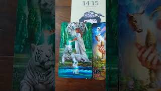 this weekend tarot reading for the 14th 15th of September 2024-Your stronger than you think#tarot