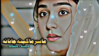 Masara ma kina janana | Pashto New Songs | Slowed Reverb | @Chicks4kids