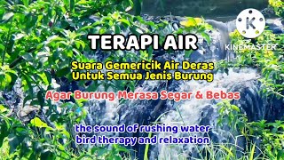 SUARA AIR GEMERICIK DERAS Untuk Semua Burung | Suara Air TERAPI BURUNG