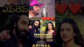 ఎవరెవరో ❤️❤️❤️ #animalmoviesongs  #lovesongs