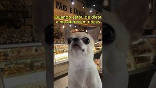 Dieta e Doces #humor #cachorros #cachorro #dogs #dog #nutricionista #mercado #supermercado #alimento