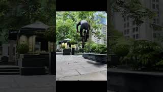 A Longass Line @ Big Apple Park (New Edit Up Now!) #bmxstreets #bmx #tekuflat