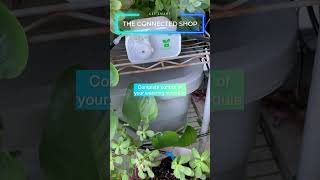 🌸 Remotely Water your Plants from your App #irrigationsystem #gardenirrigation #dripirrigationsystem