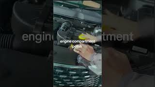 engine compartment fully polish.  please visit https://youtube.com/@AutoDR123?si=ahIKmqjv5N19vz_b