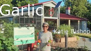 Garlic - Planting with Katie Bishop