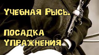 Учебная рысь. Посадка и упражнения