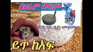 🔴 በህልም #ወፍጮ #አይጥ ከአፍ ውስጥ #ድንጋይ ላይ መቀመጥ