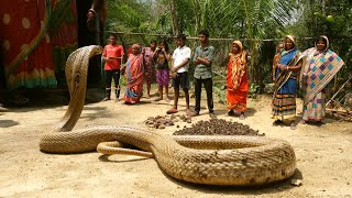 ऐसी जगहों में हाथ लगाने से पहले हो जाएं सावधान देखें कैसे घात लगाए बैठा था कोबरा Big Cobra rescued