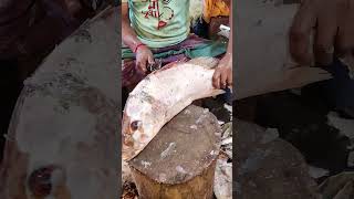 Big Red Snapper Fish Cutting By Expert Fish Cutter #shorts