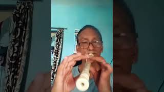 phool tumhe bheja ha khat  mai#shorts# hindi# flute dhun