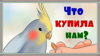 ЗООПОКУПКИ  для попугаев.