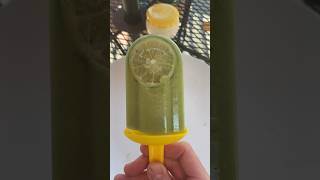 avocado lime ice pops