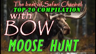 Epic 40-Minute Moose Hunt Compilation – Safari Channel’s Best!