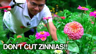 Afraid to Cut Flowers for Bouquets? Watch This Garden Tour!