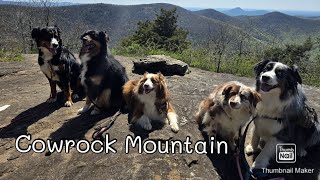 Cowrock's Jaw-Dropping Dog-Friendly Hike You Won't Want to Miss!