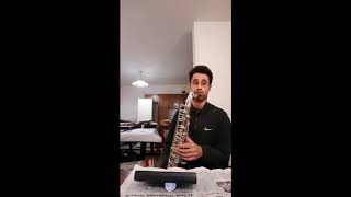 20170918_135831 Bari HR 105 tenor saxophone mouthpiece (messy hair)