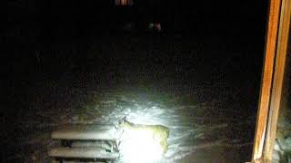 SNOW AND SAME ANTLERLESS BUCK IS BACK TONIGHT!  FLASHLIGHT ON HIM AND IT IS A BIT TOO BRIGHT!