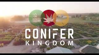 Conifer Kingdom - The Garden Revolution