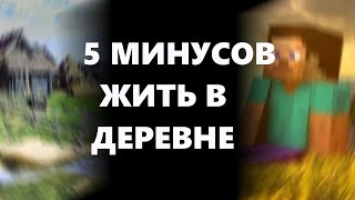 5 МИНУСОВ ЖИЗНИ В ДЕРЕВНЕ | Аналитика