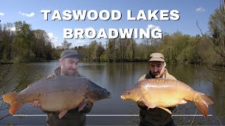 TASWOOD LAKES NORFOLK - NORFOLK CARP FISHING - UK CARP FISHING