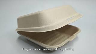 bagasse tableware,Biodegradable food container,bagasse bowl,China vendor,High Grade