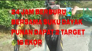 BERSAMA SUKU DAYAK PUNAN, BERBURU 24 JAM, SAMPAI TIDAK BISA TIDUR, DAPATNYA SUNGGUH DI LUAT NALAR