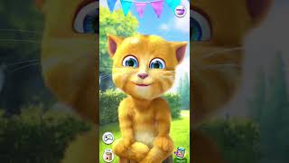 funny cat videos #shorts #cat #takingginger #funny #catart