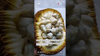 exotic fruit marang #shorts