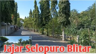 PENAMPAKAN Terbaru Desa JAJAR Selopuro Blitar