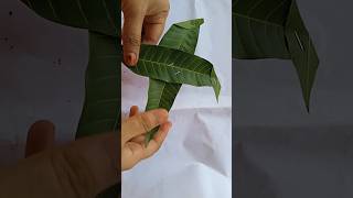 mango leaf decoration ideas #shorts#viralshorts