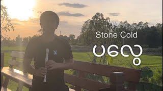 Stone Cold ပလွေ Cover