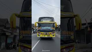 Basuri cicicuit #busmania #basuriv3 #jetbus #jetbus5