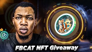 Bitcoin at $89k+ || FBCAT NFT  GIVEAWAY