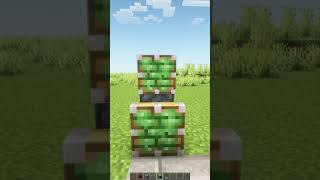 Minecraft Secret Door 😱 #shorts #minecraft #minecraftshorts