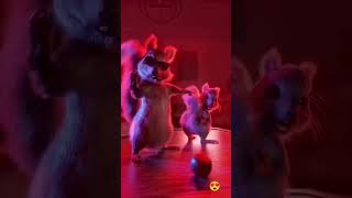 Cat Party #shortsfeed #summerfashion #shortsviral #short #shortvideo #share #shortfeed