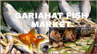 Gariahat Fish Market.